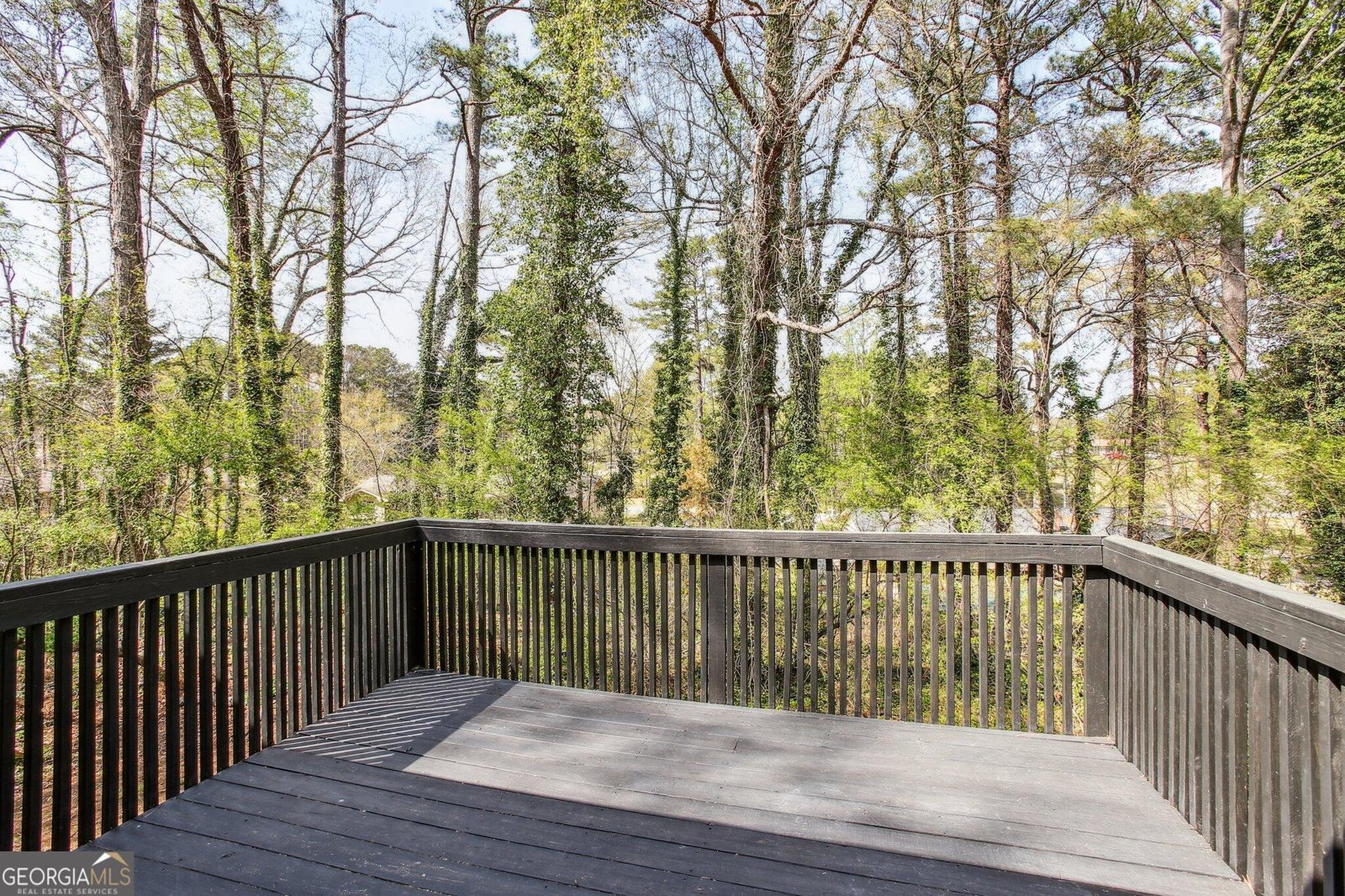 2069 Bethsaida Court Riverdale - 15