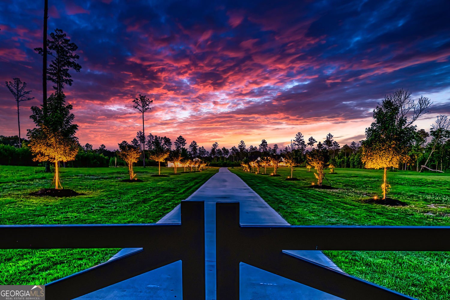11084 Mount Carmel Road Senoia - 3