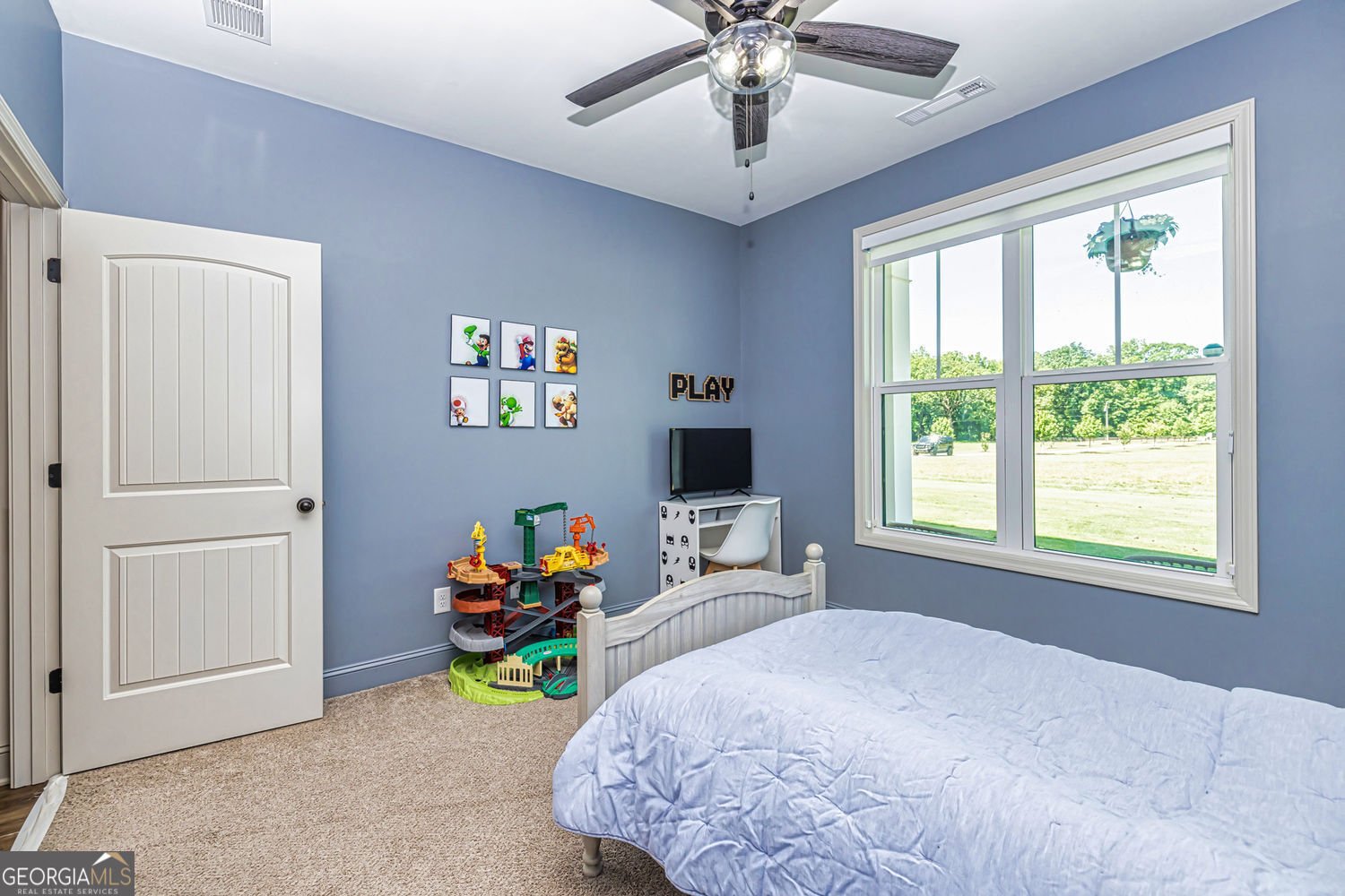 11084 Mount Carmel Road Senoia - 91