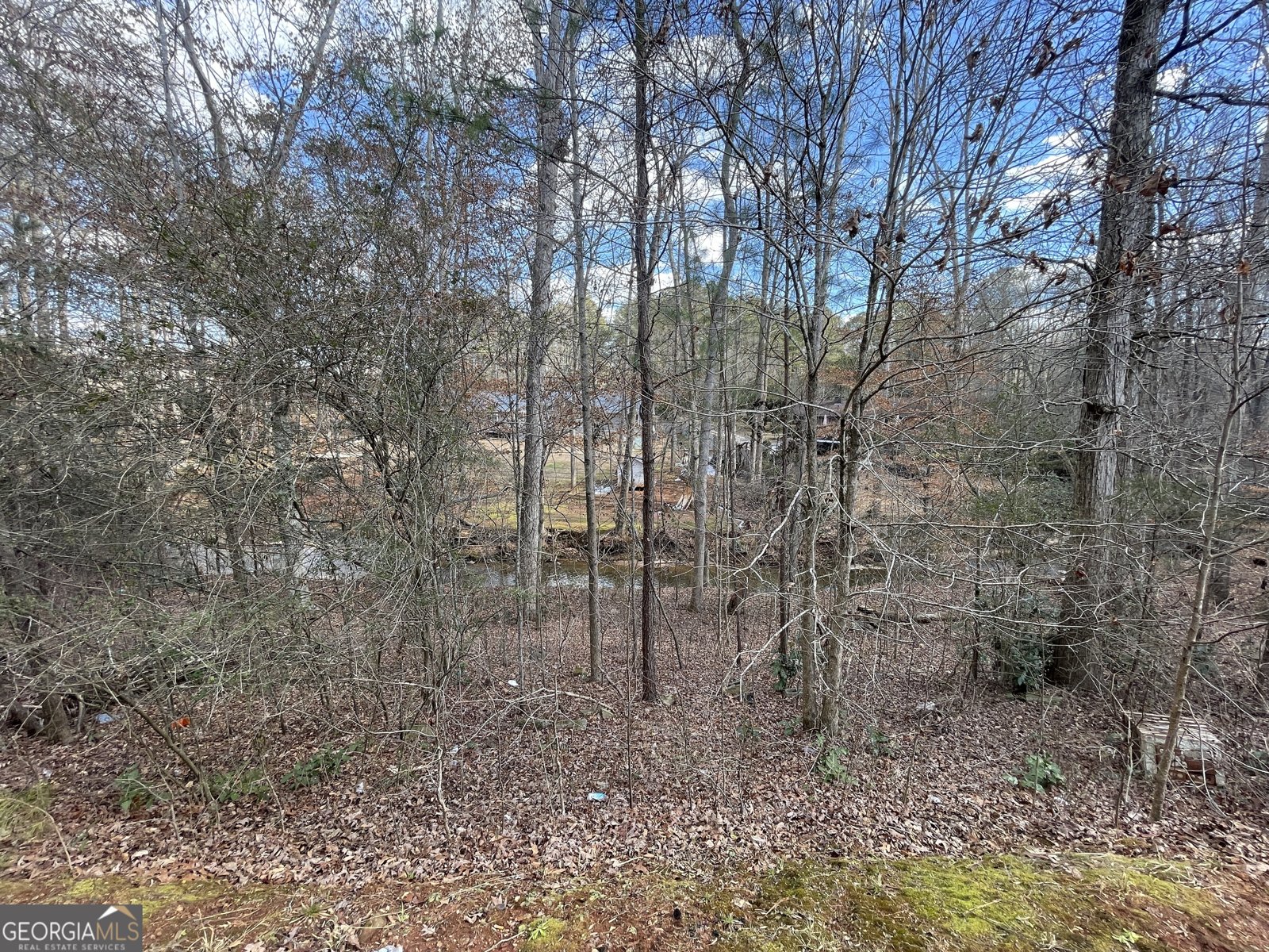 1240 Falls Creek Court Conyers - 13