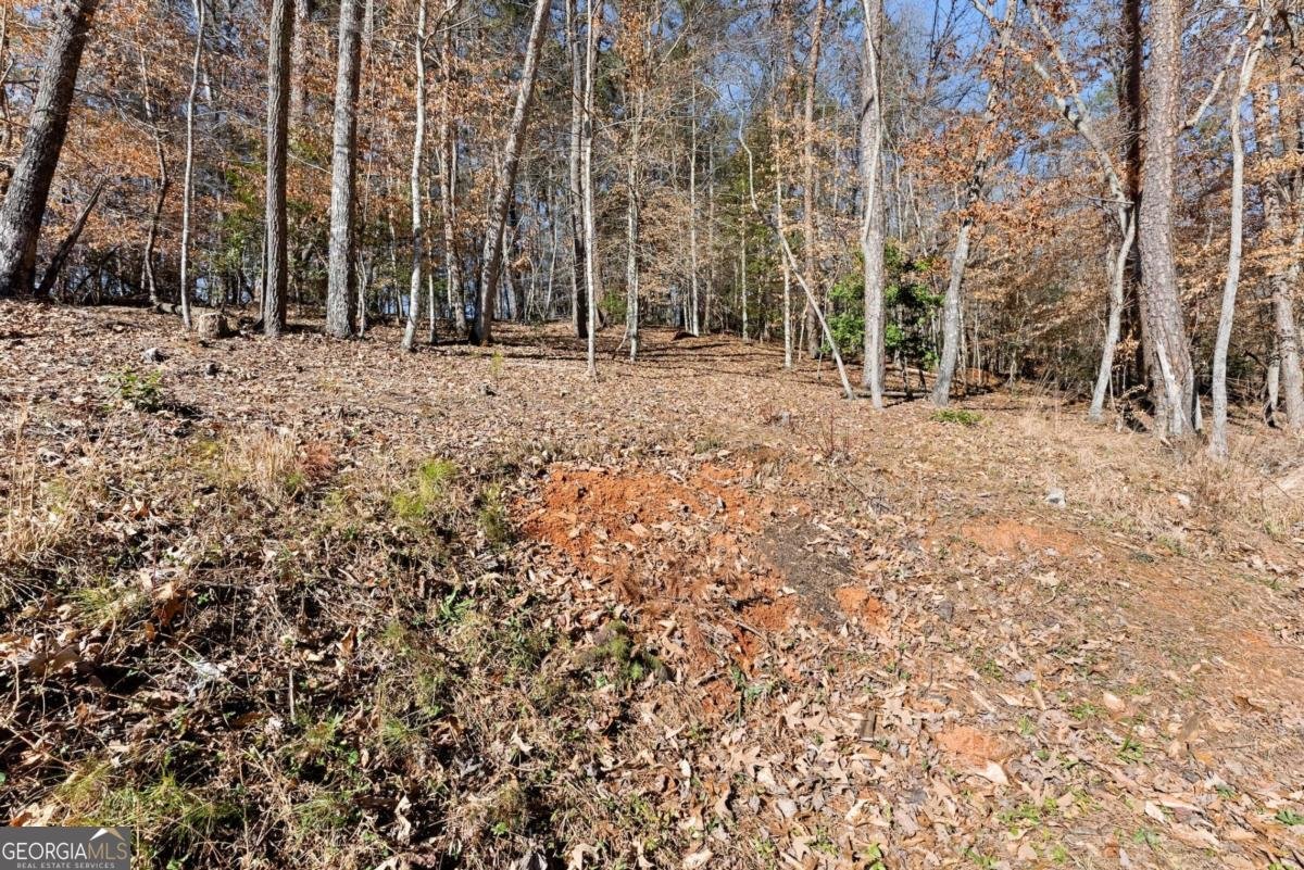 2842 Dawsonville Highway Dahlonega - 38