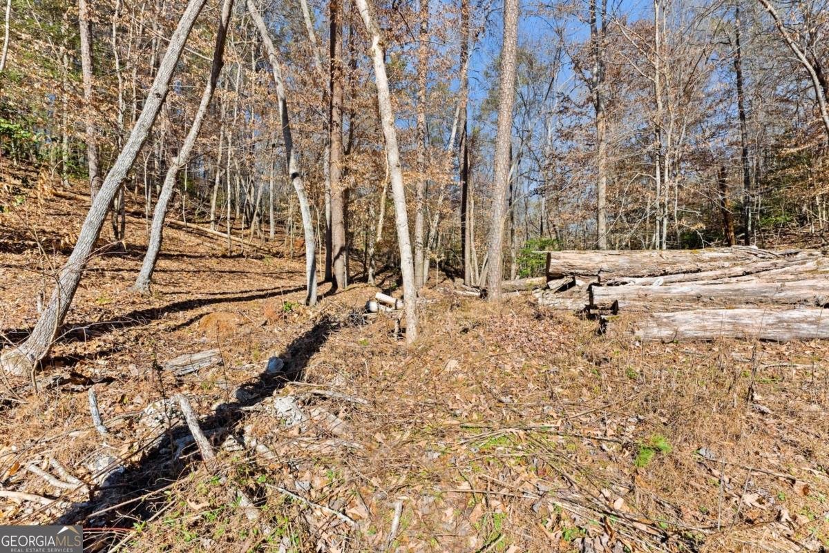 2842 Dawsonville Highway Dahlonega - 40
