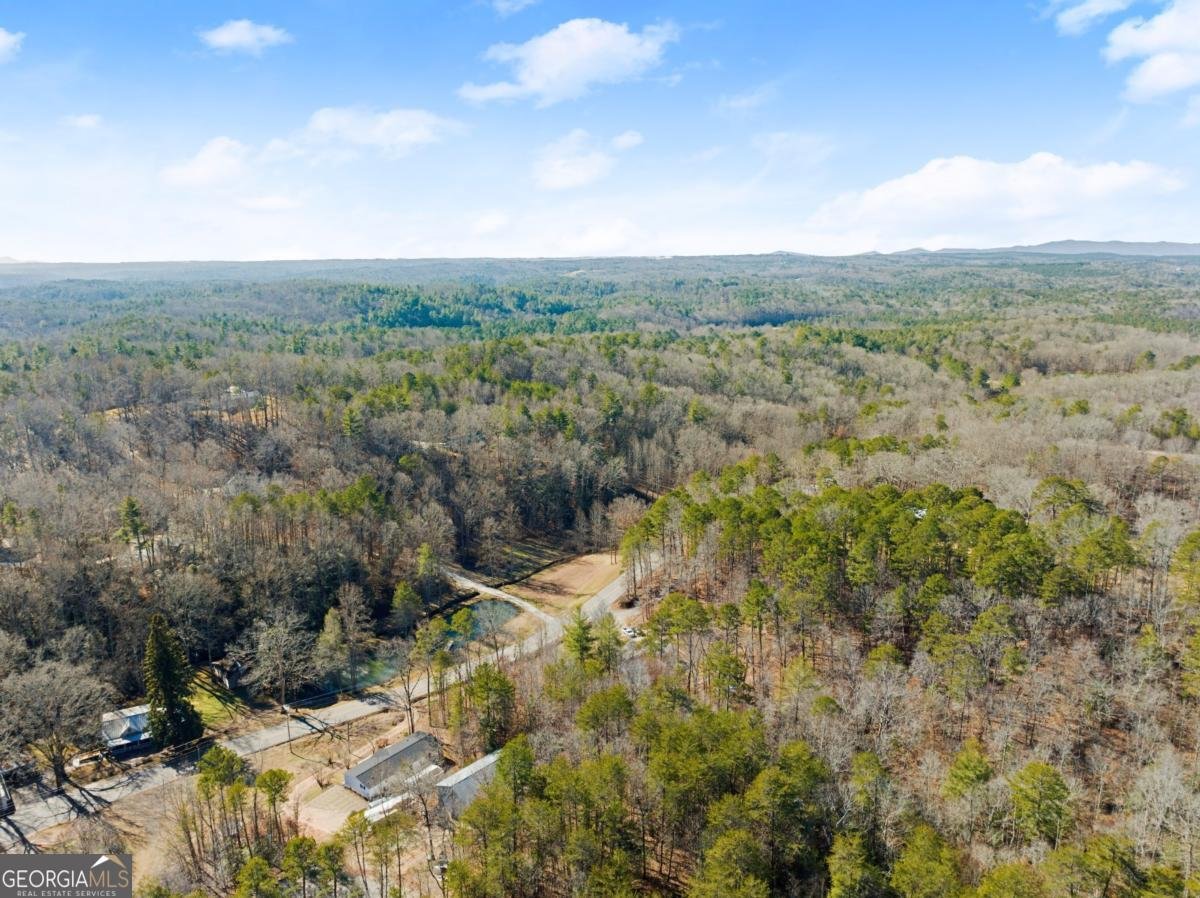 2842 Dawsonville Highway Dahlonega - 48