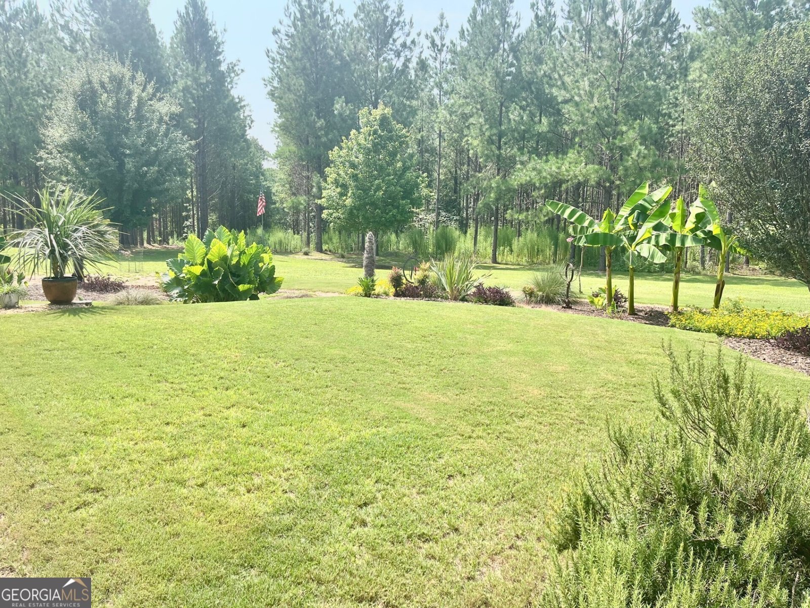 7381 Whitaker Road Roberta - 10