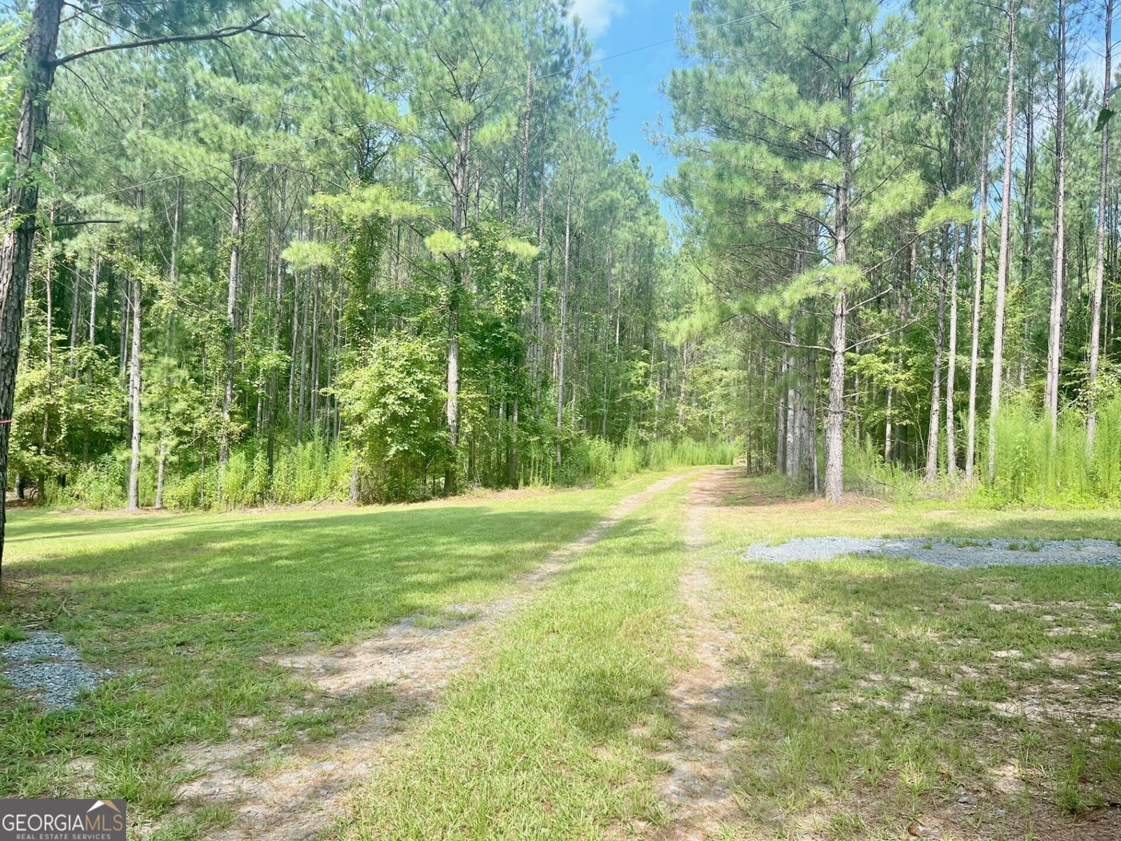 7381 Whitaker Road Roberta - 12