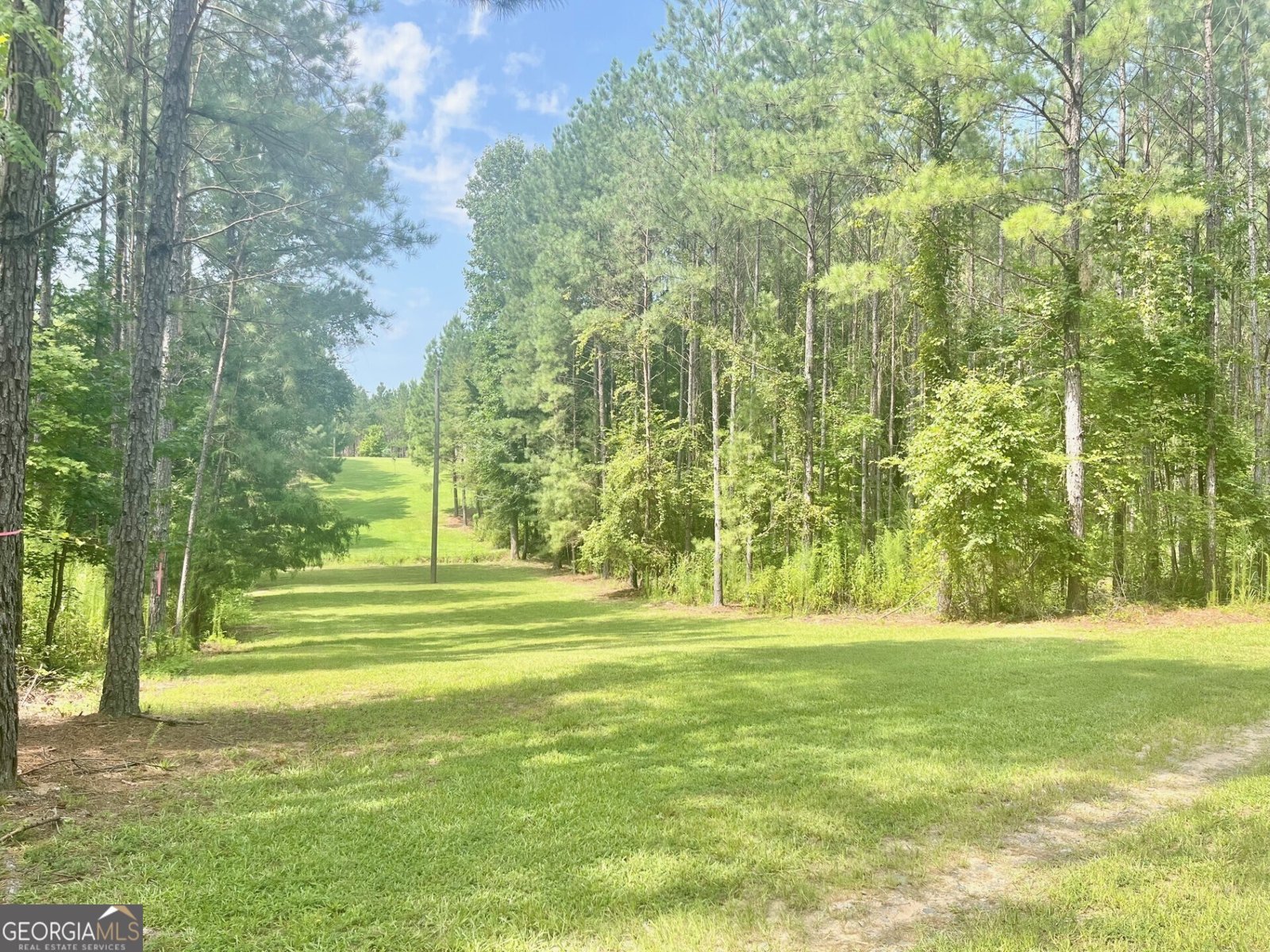 7381 Whitaker Road Roberta - 13