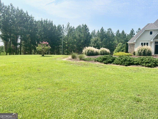 7381 Whitaker Road Roberta - 3