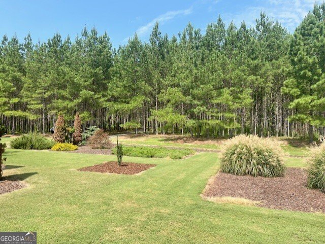 7381 Whitaker Road Roberta - 7