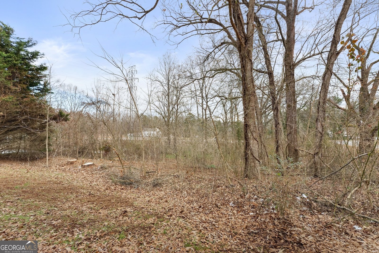 106 Richland Creek Drive Westminster - 13