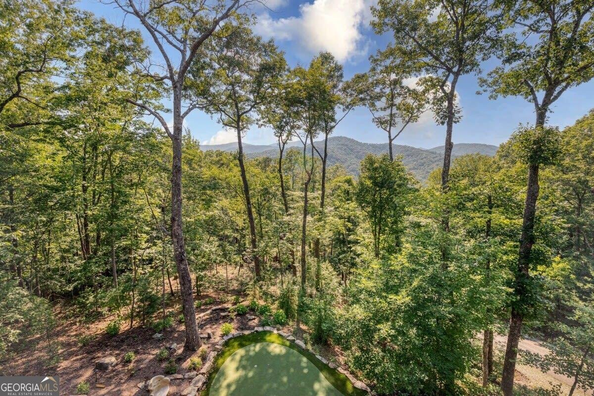 272 Heights Overlook, Cherry Log - 59