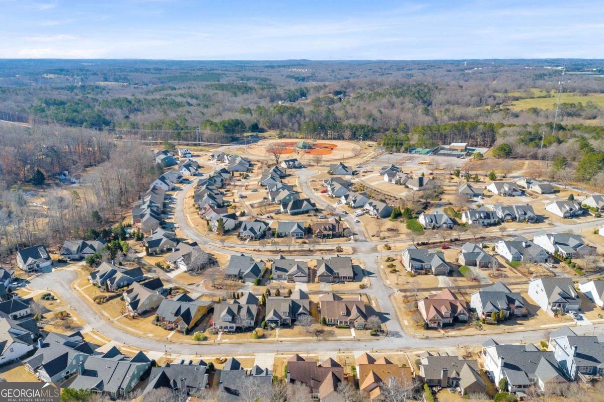 151 Chestnut Chase Hoschton - 59