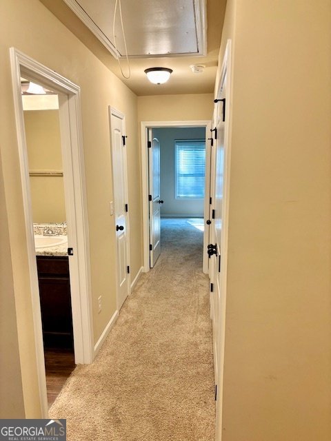 193 Camellia Court Jackson - 14