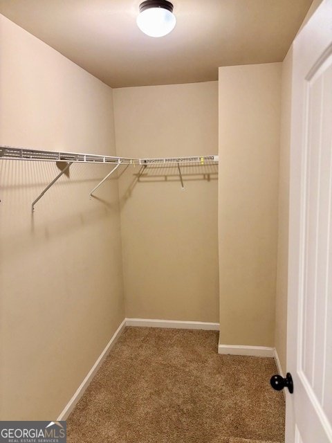 193 Camellia Court Jackson - 17