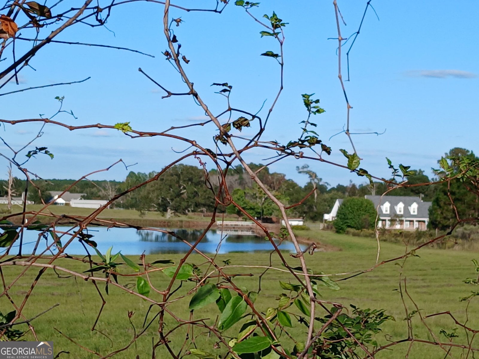 238 Wilson Woodard Road Eastman - 106