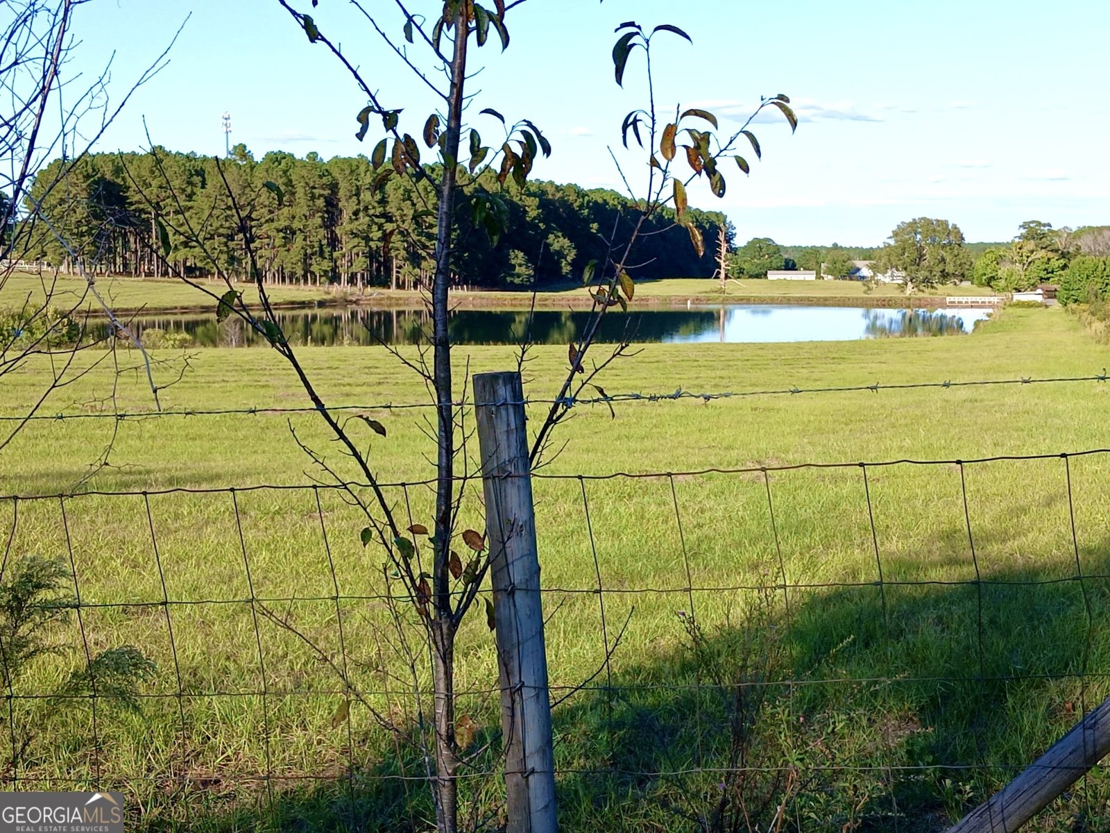 238 Wilson Woodard Road Eastman - 107