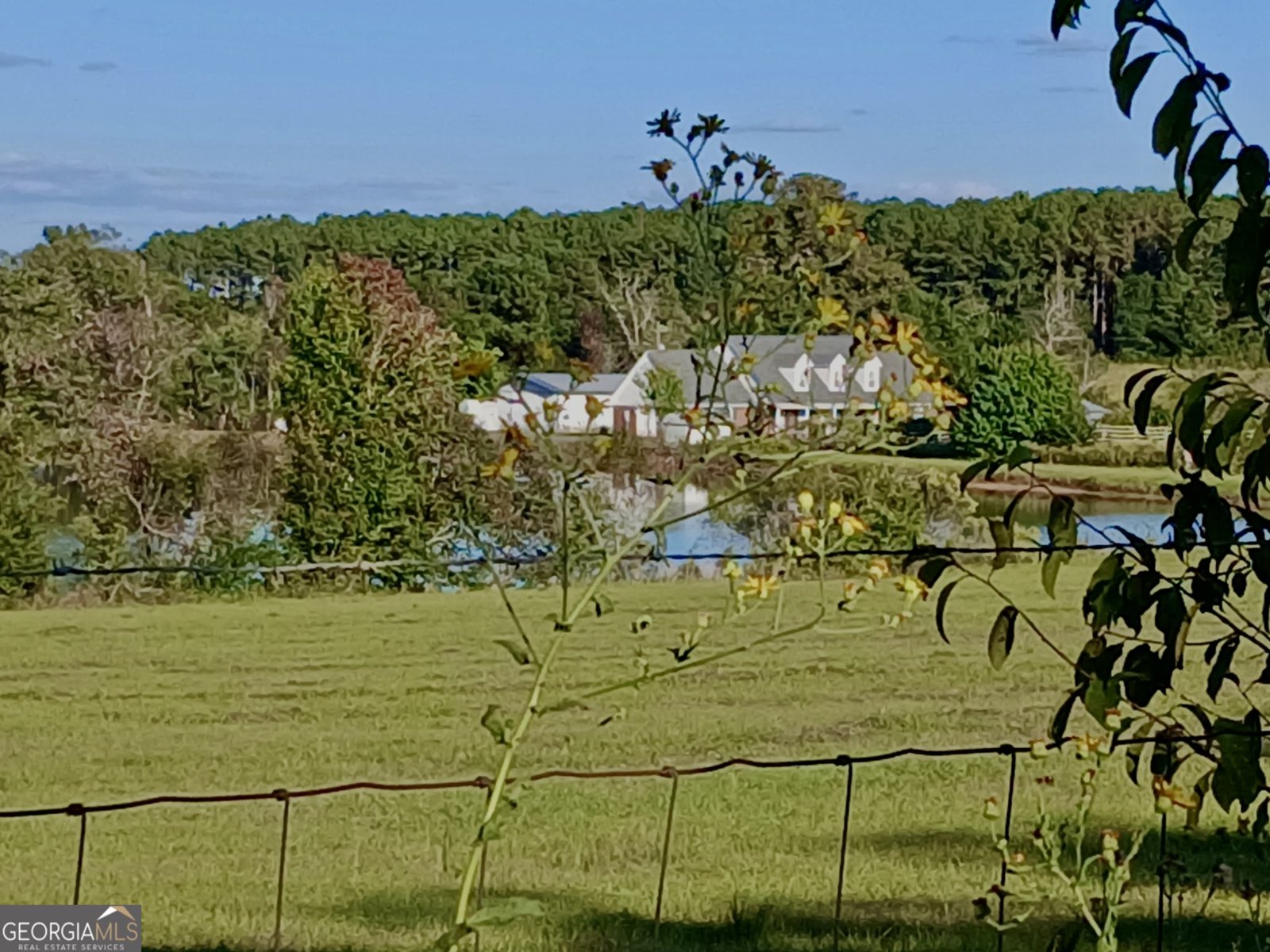 238 Wilson Woodard Road Eastman - 108