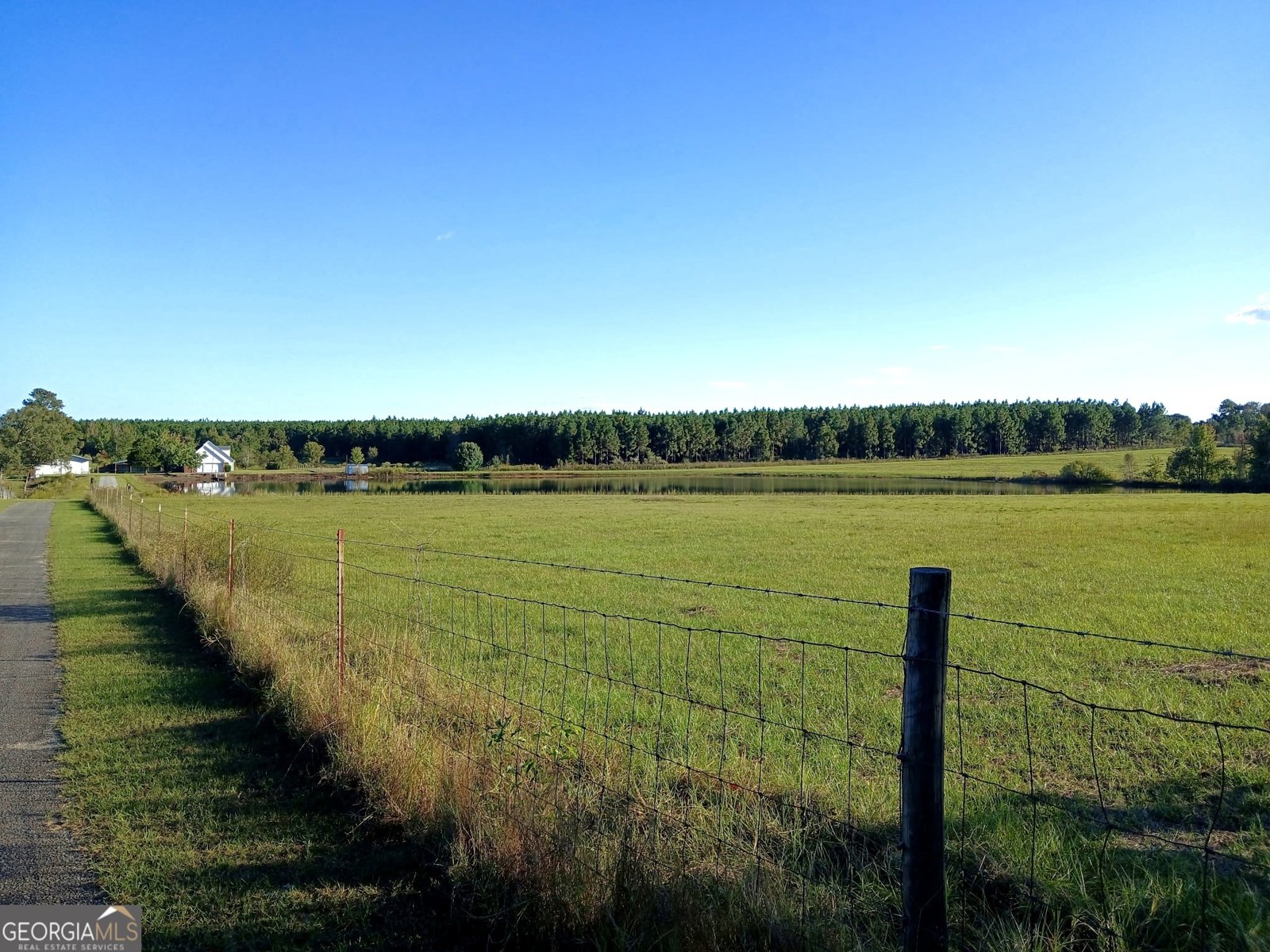 238 Wilson Woodard Road Eastman - 110