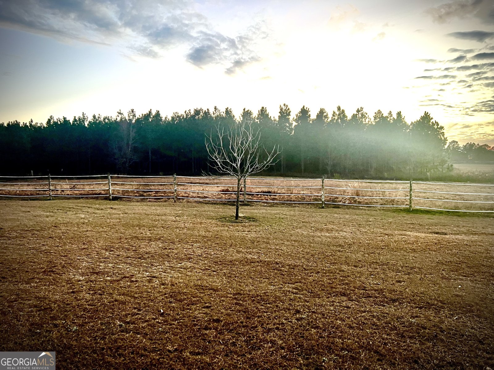 238 Wilson Woodard Road Eastman - 15