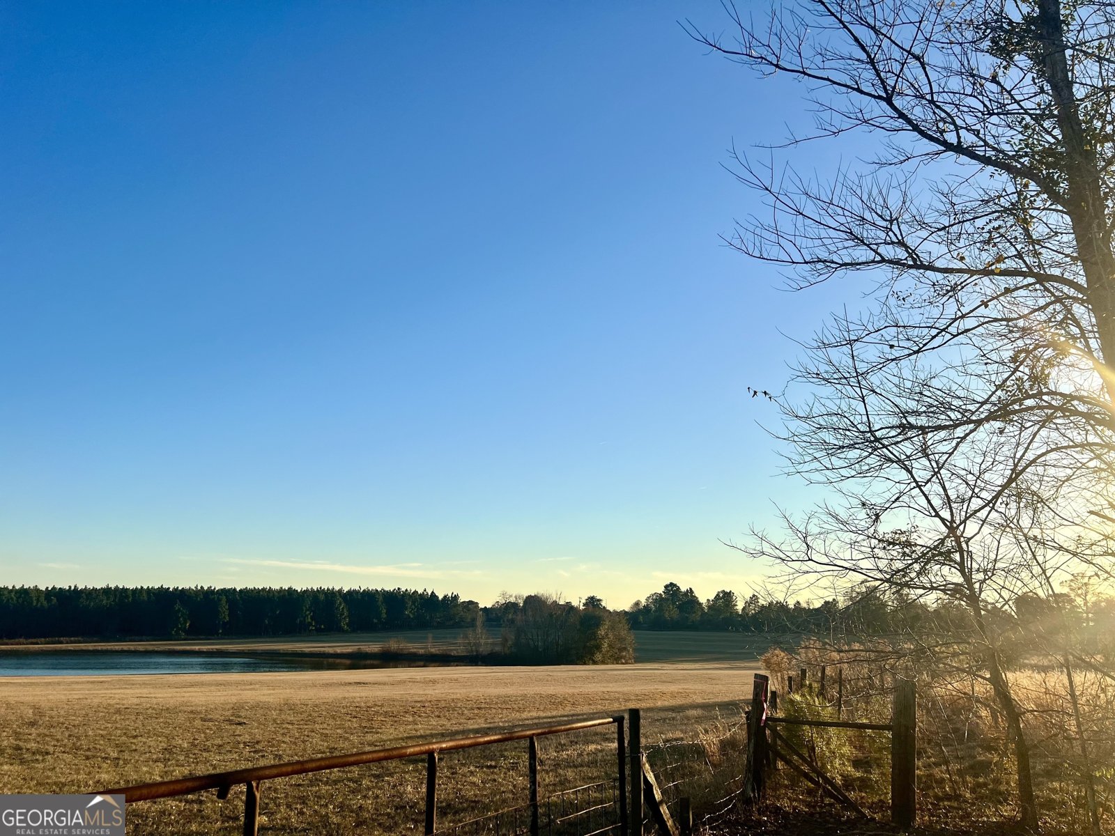 238 Wilson Woodard Road Eastman - 92