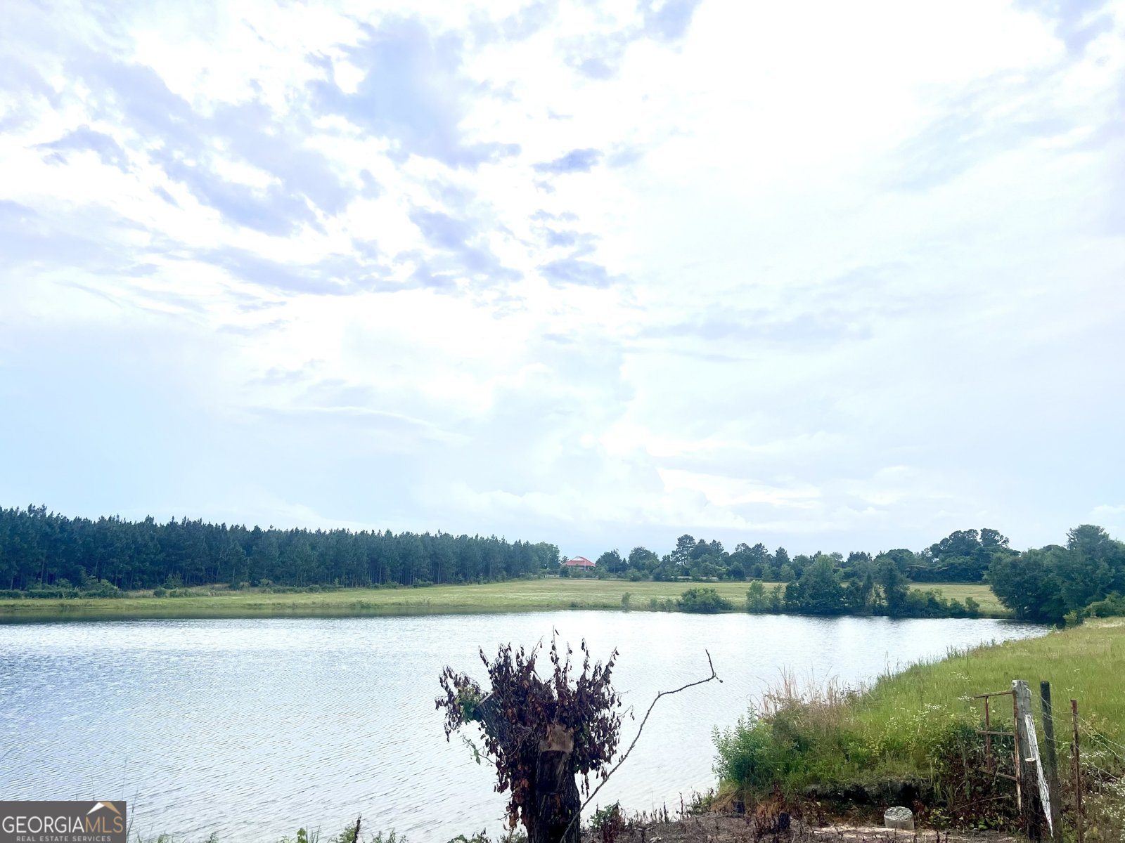 238 Wilson Woodard Road Eastman - 96