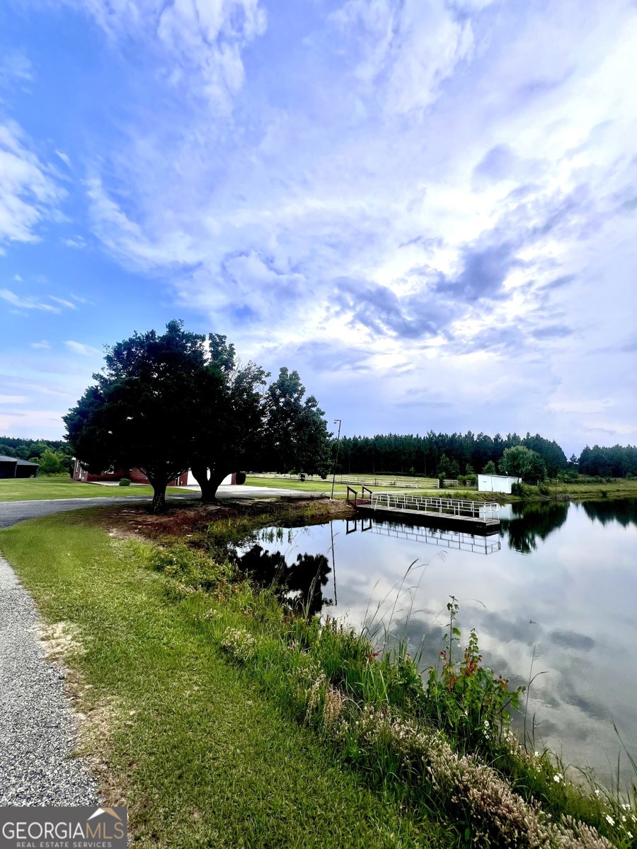 238 Wilson Woodard Road Eastman - 98