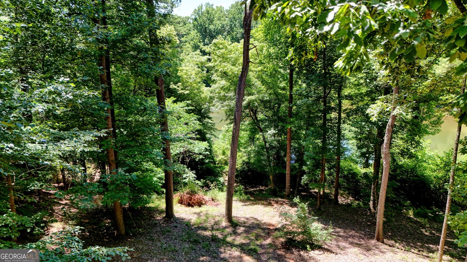 139 Shoals Ferry Road Rome - 17