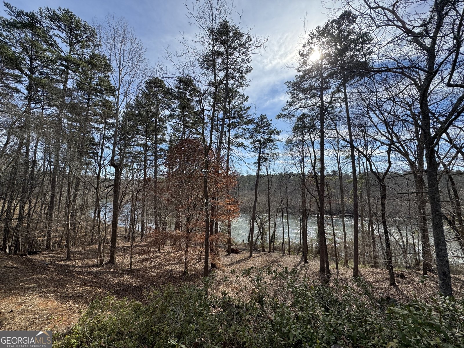 139 Shoals Ferry Road Rome - 65