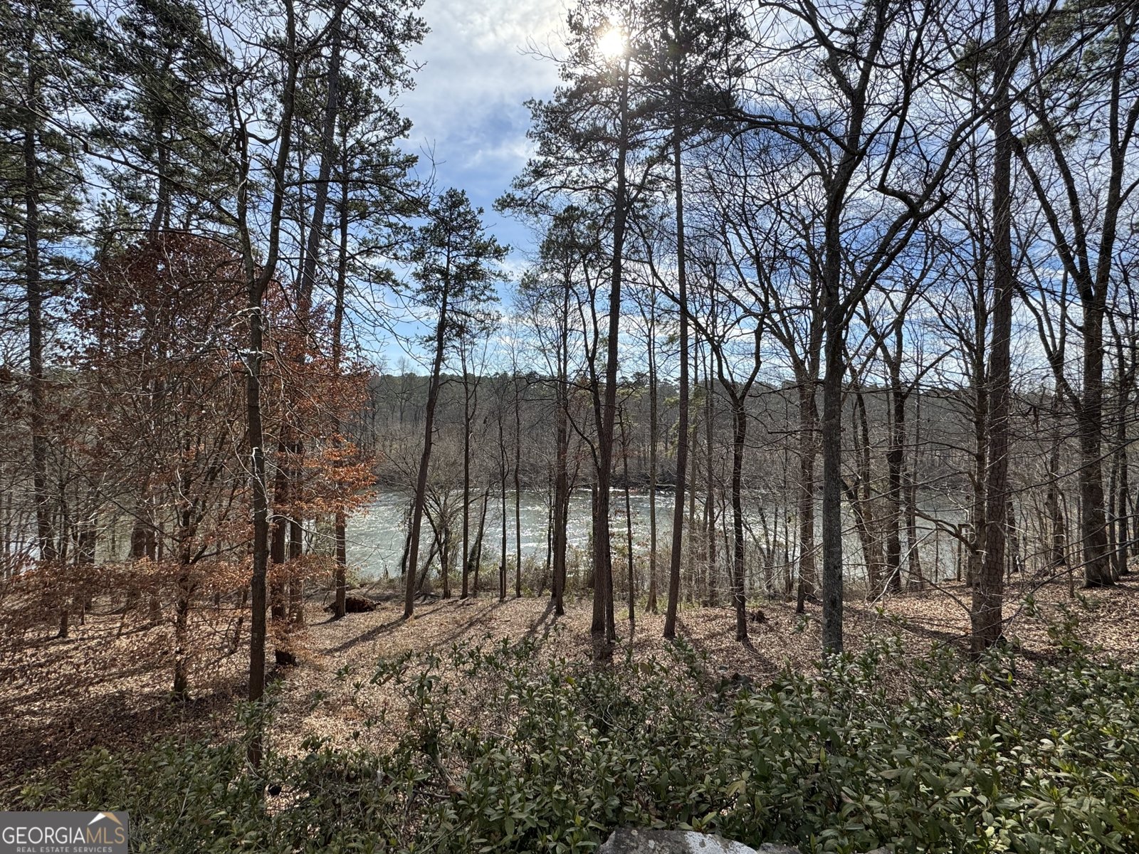 139 Shoals Ferry Road Rome - 66