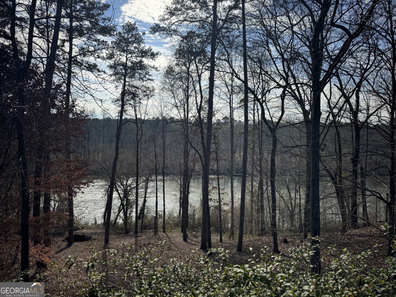 139 Shoals Ferry Road Rome - 67