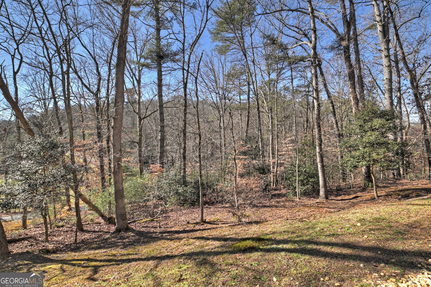 694 Northcutt Road Ellijay - 14