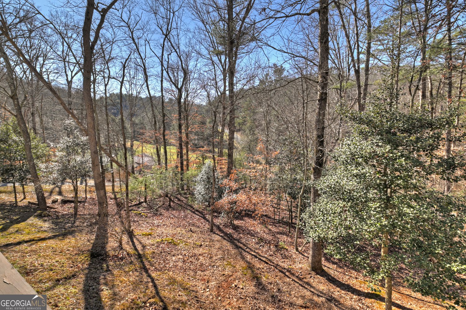 694 Northcutt Road Ellijay - 17