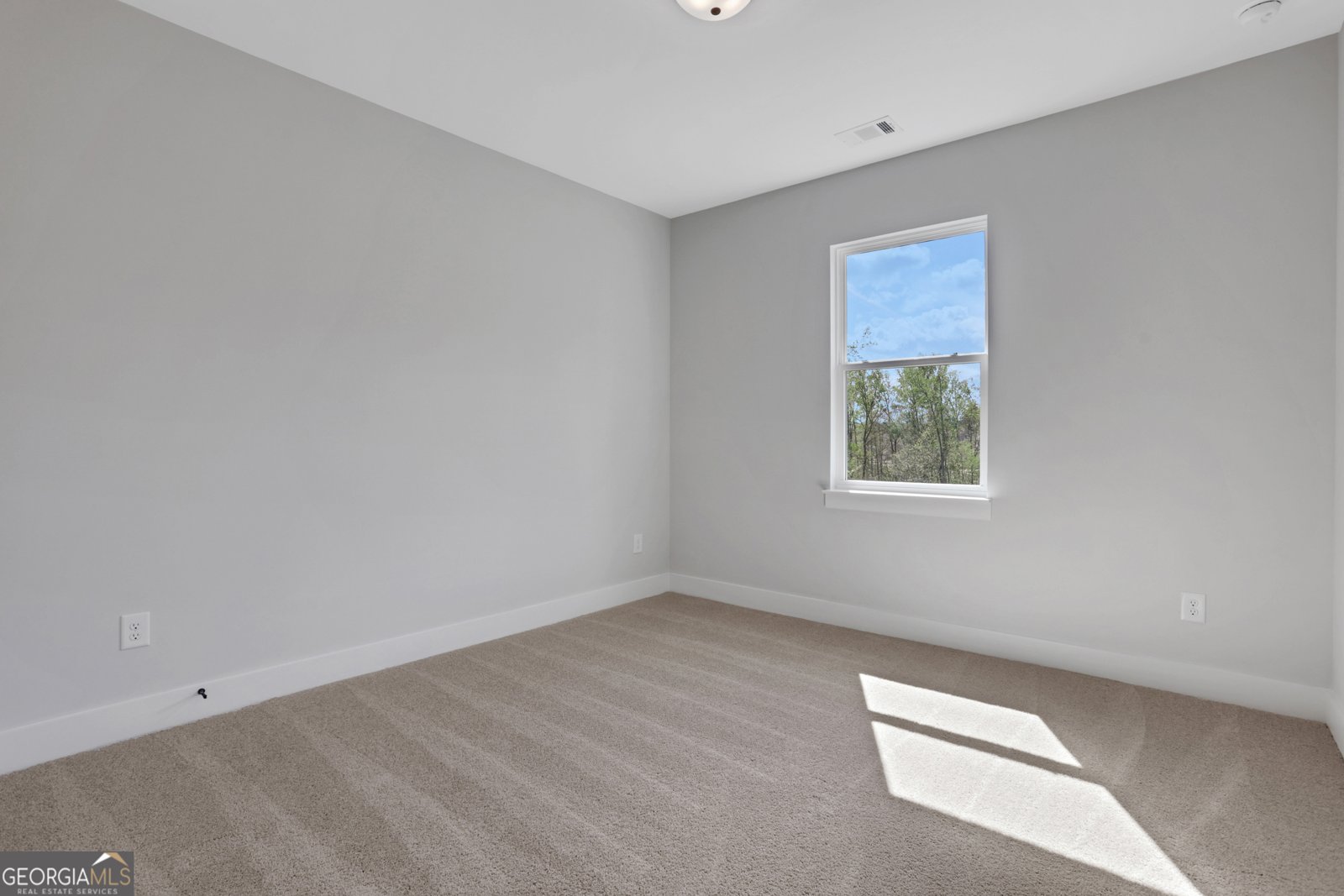 6905 Lancelot Court Flowery Branch - 19