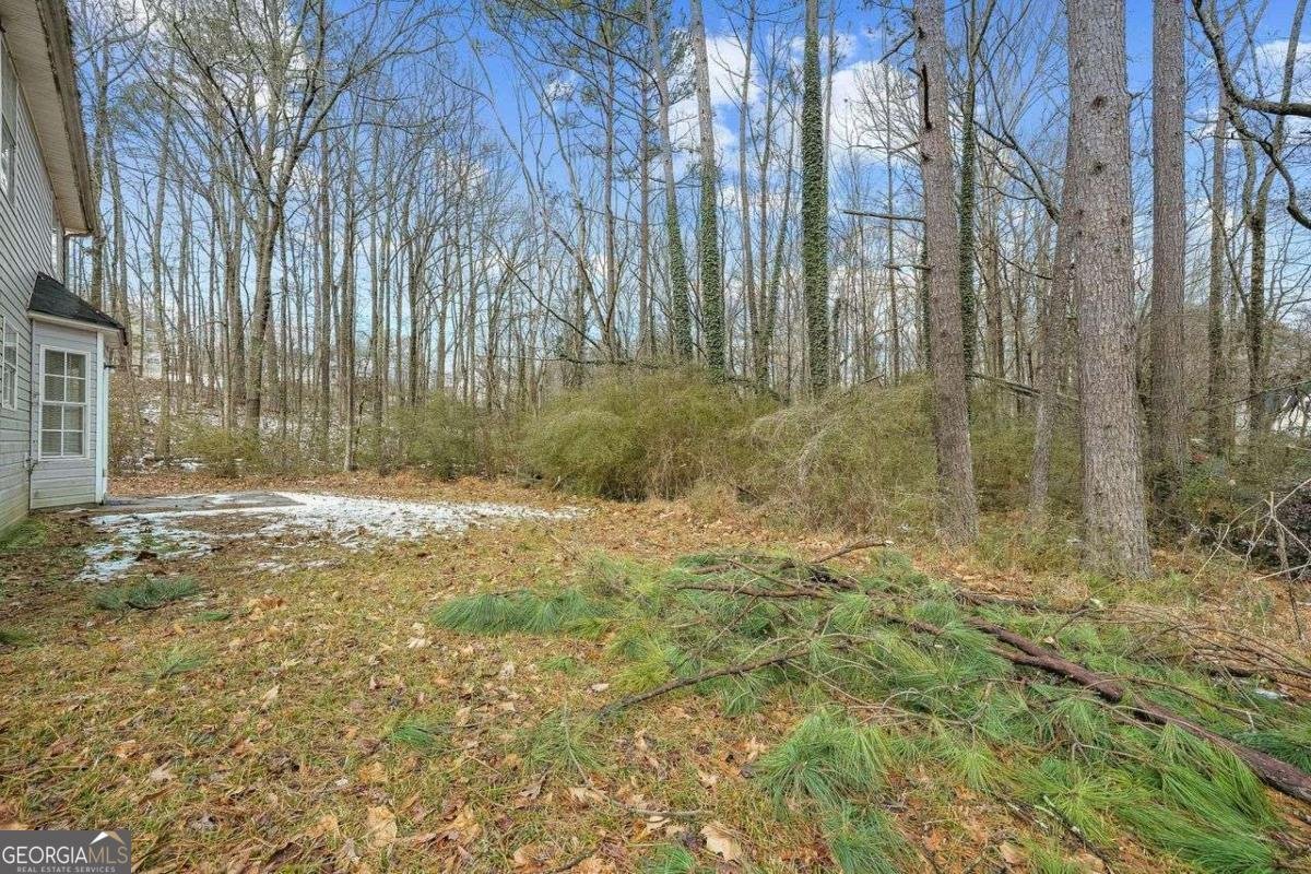 6207 Willowbrook Drive Riverdale - 4