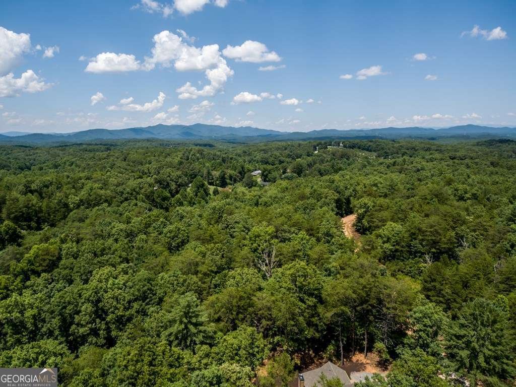 1134 Lees Ride Mccaysville - 38