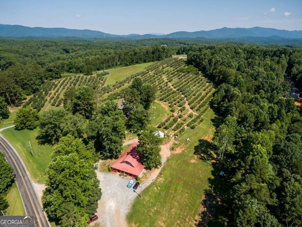 1134 Lees Ride Mccaysville - 40