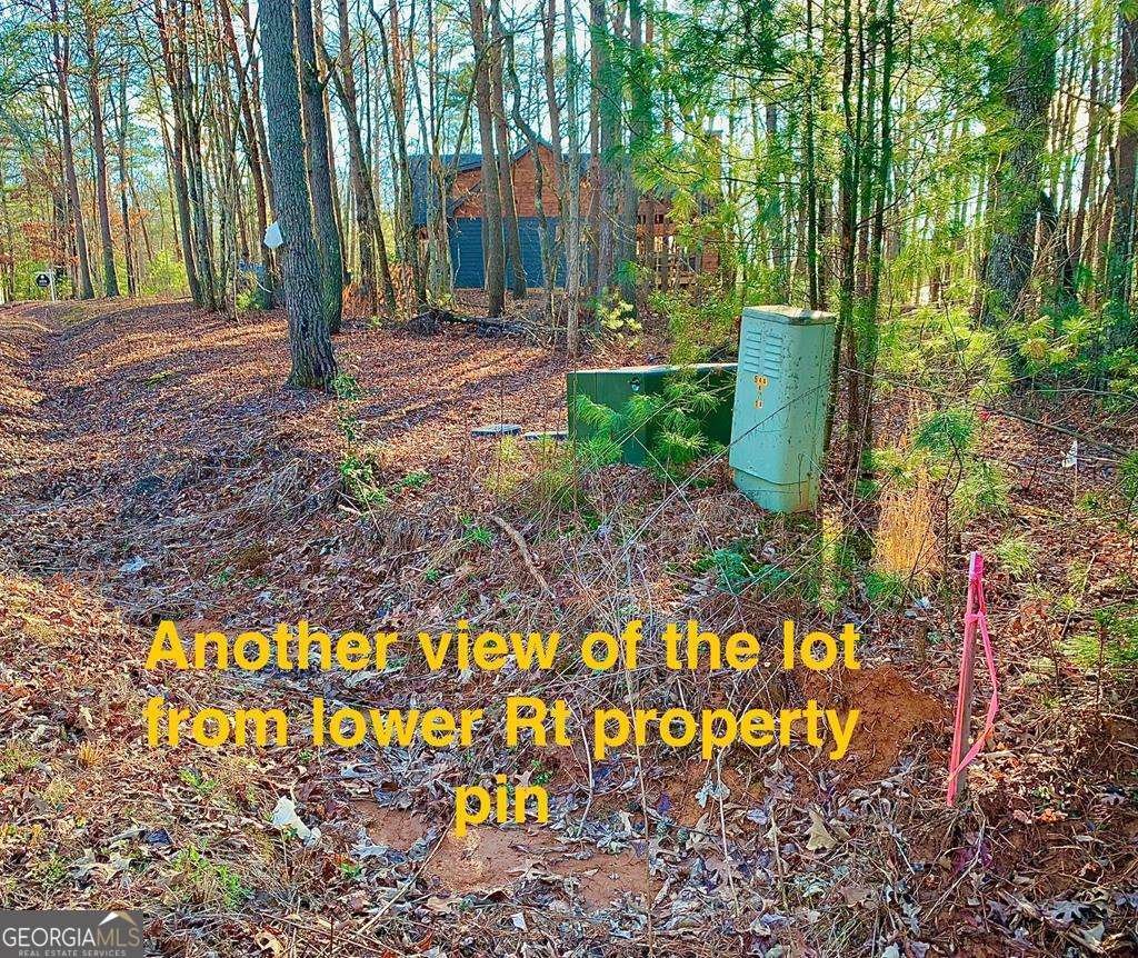 1134 Lees Ride Mccaysville - 49