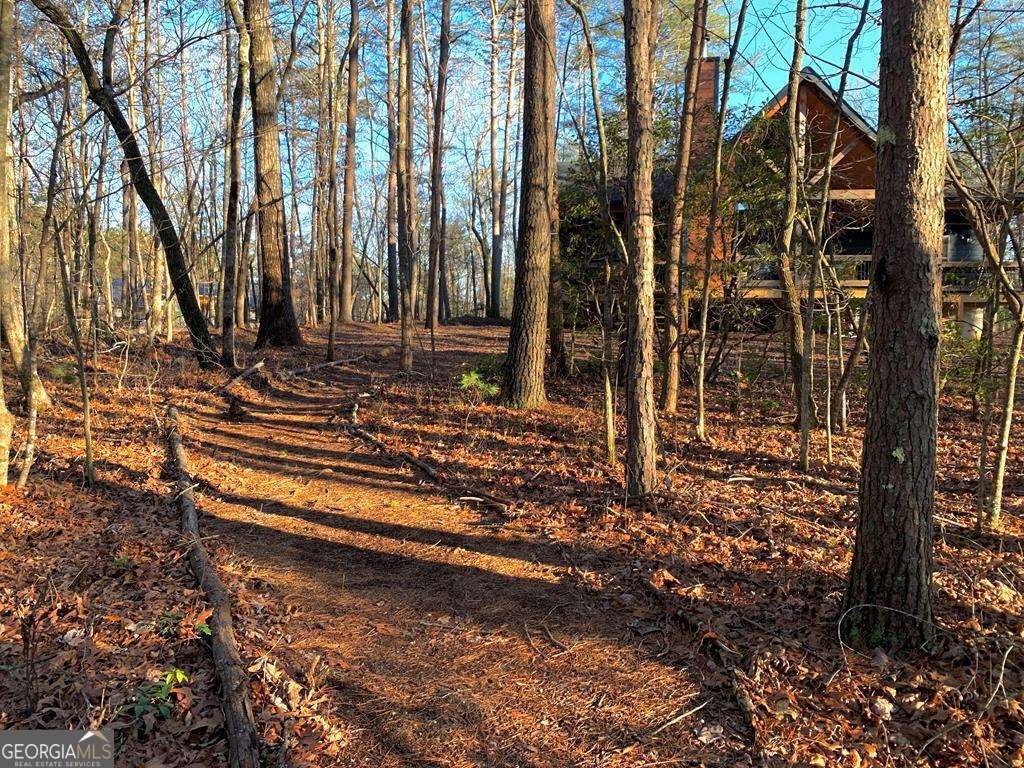 1134 Lees Ride Mccaysville - 52