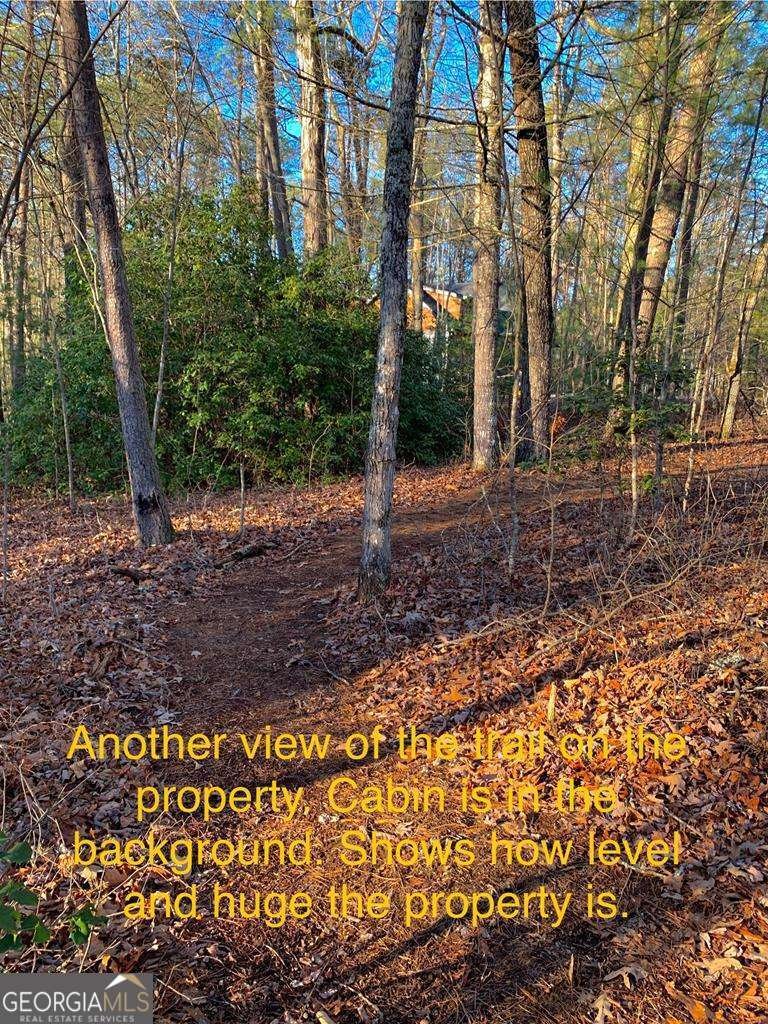 1134 Lees Ride Mccaysville - 61