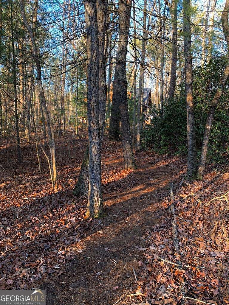 1134 Lees Ride Mccaysville - 62