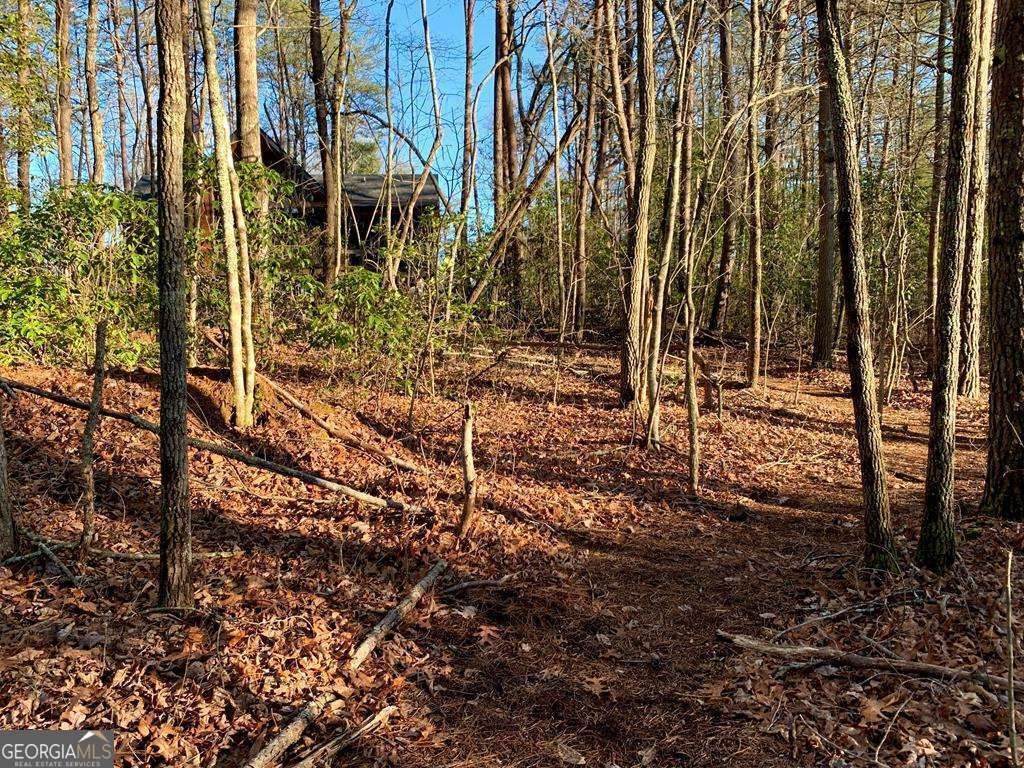 1134 Lees Ride Mccaysville - 63