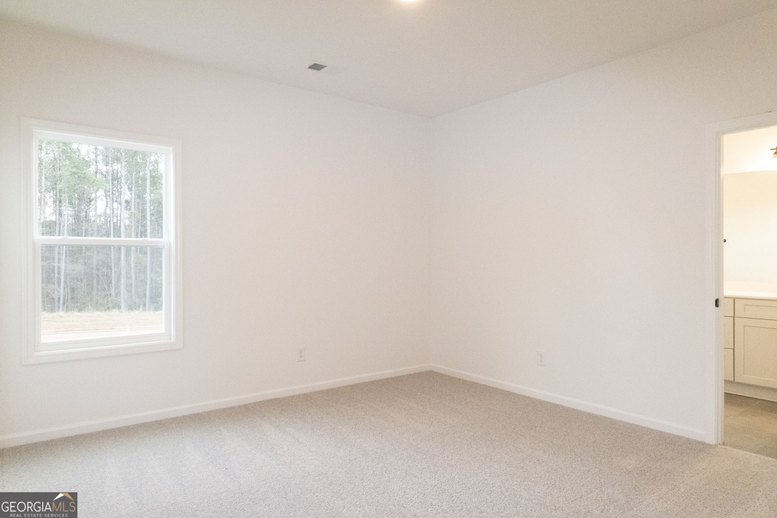 11 Tea House Lane Newnan - 17