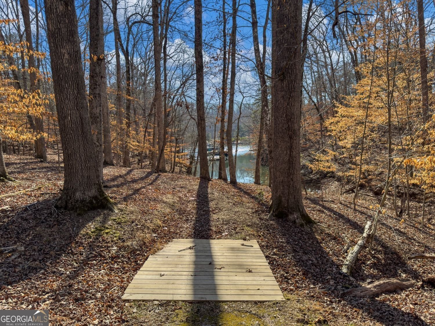 45 Lakepoint Drive Dawsonville - 13