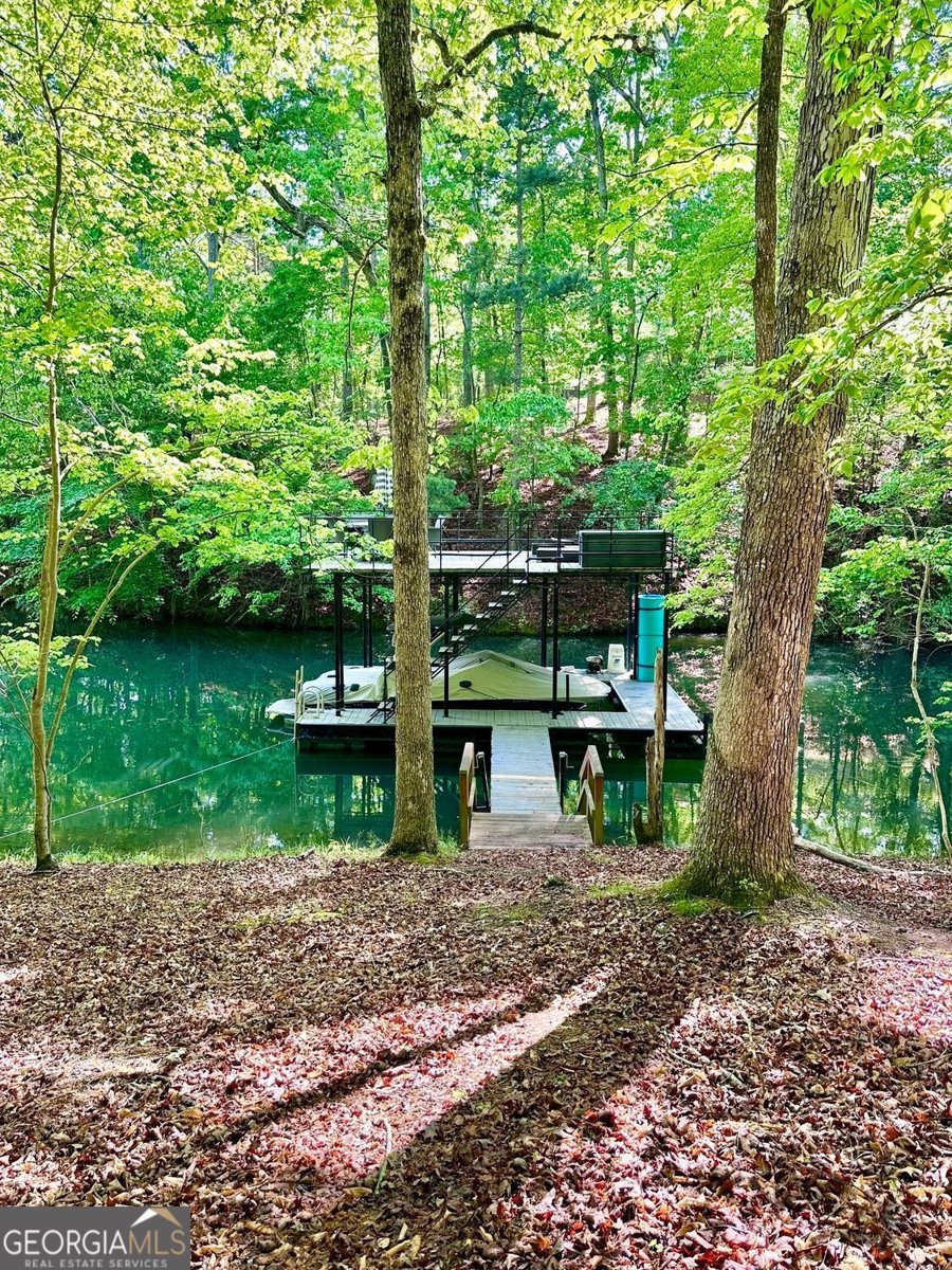 45 Lakepoint Drive Dawsonville - 15