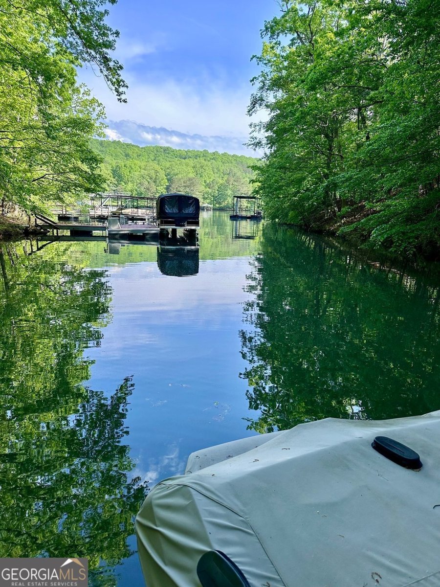 45 Lakepoint Drive Dawsonville - 17