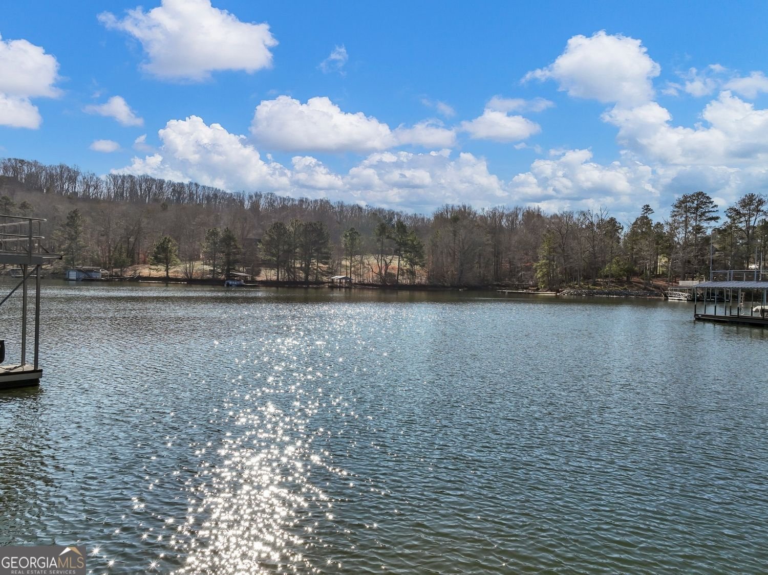 45 Lakepoint Drive Dawsonville - 21