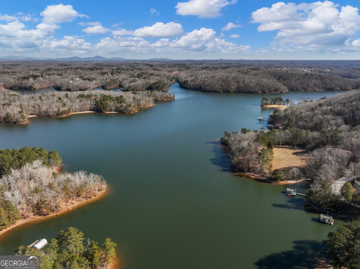 45 Lakepoint Drive Dawsonville - 24