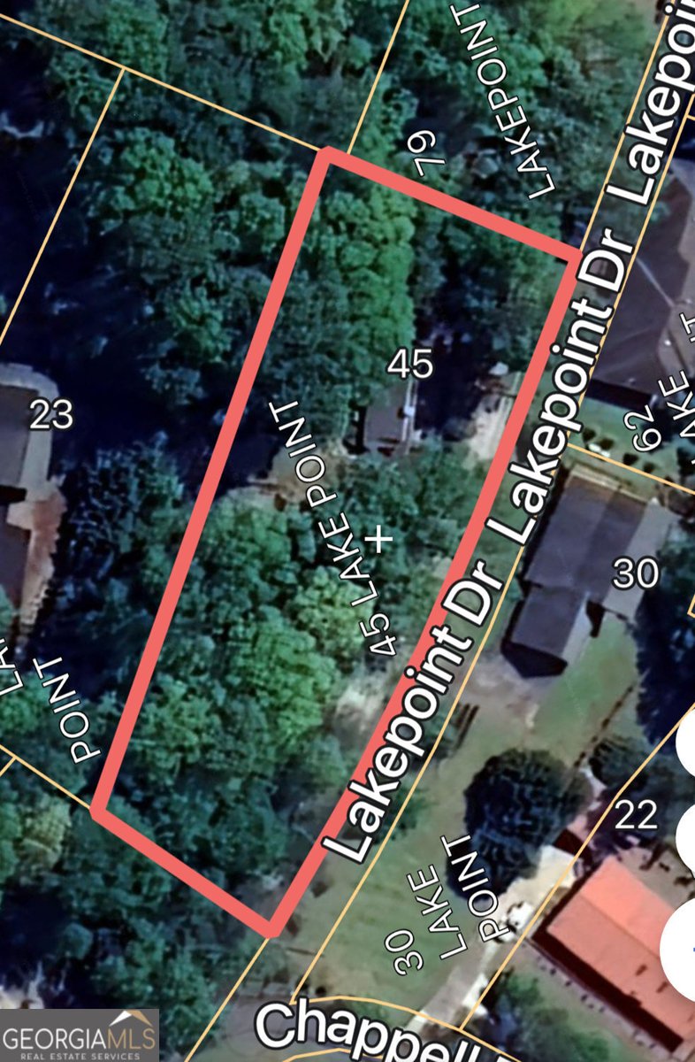 45 Lakepoint Drive Dawsonville - 29