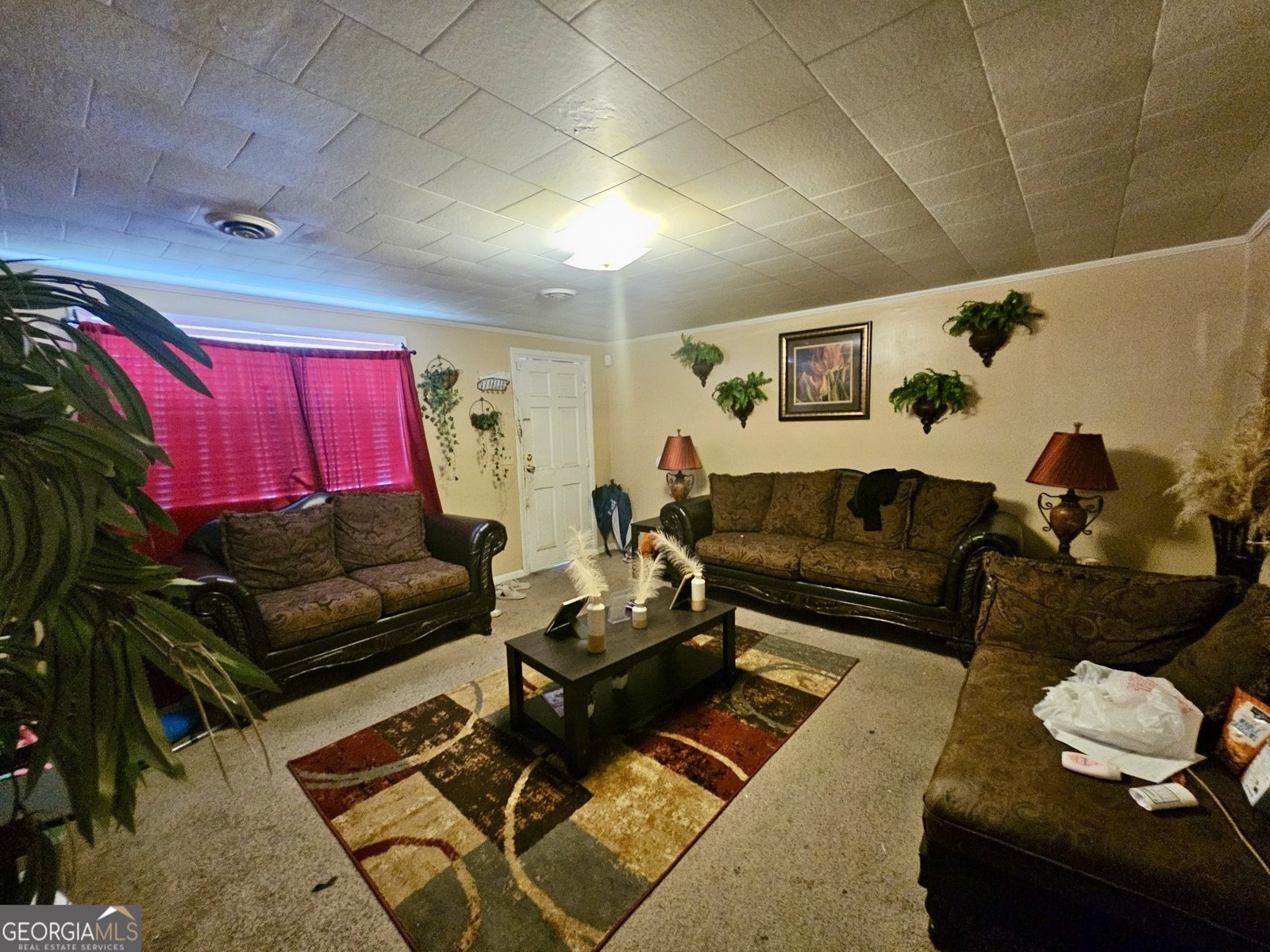 1437 Peach Street Dublin - 3