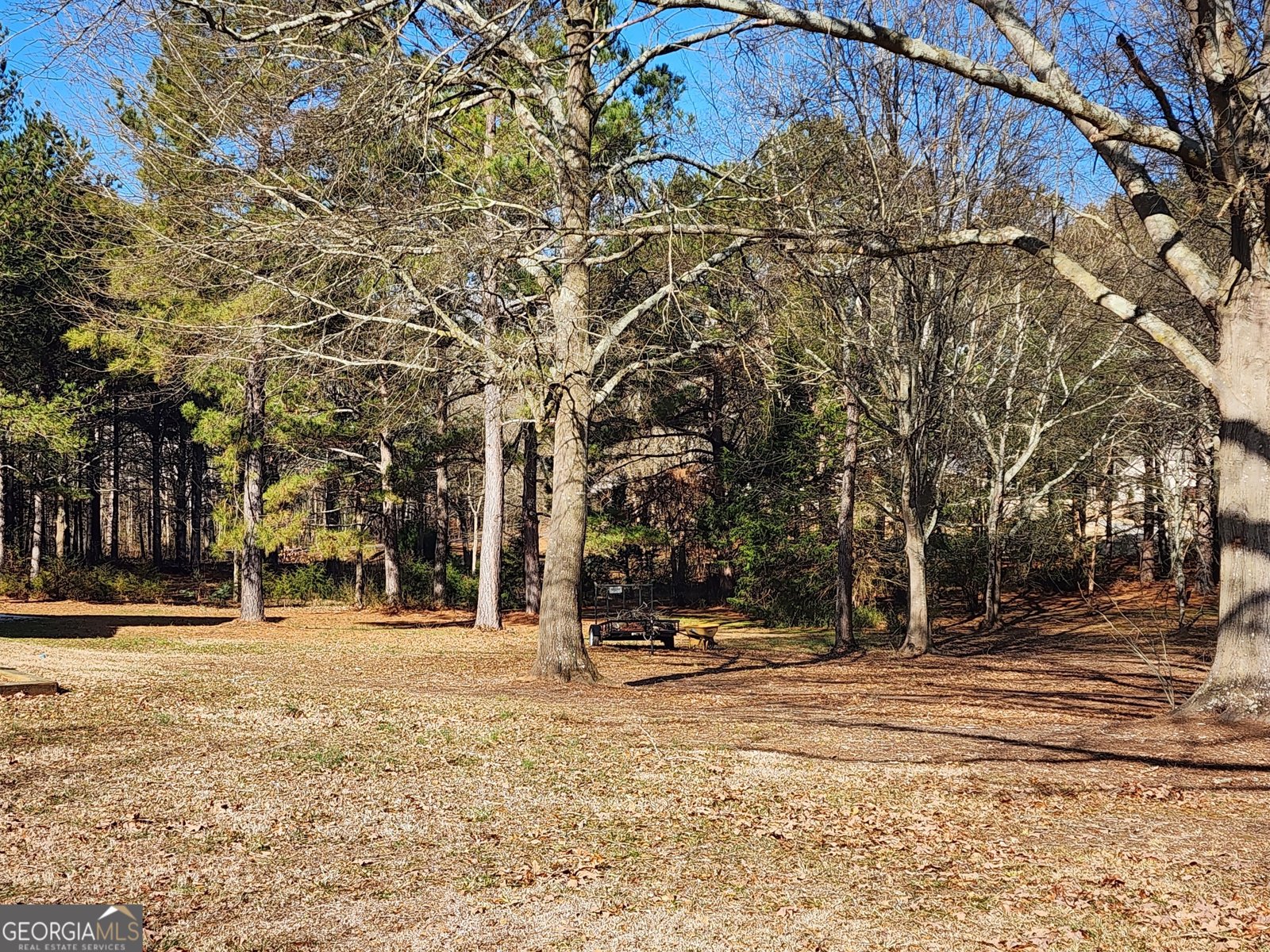 1293 Forest Avenue Hartwell - 2