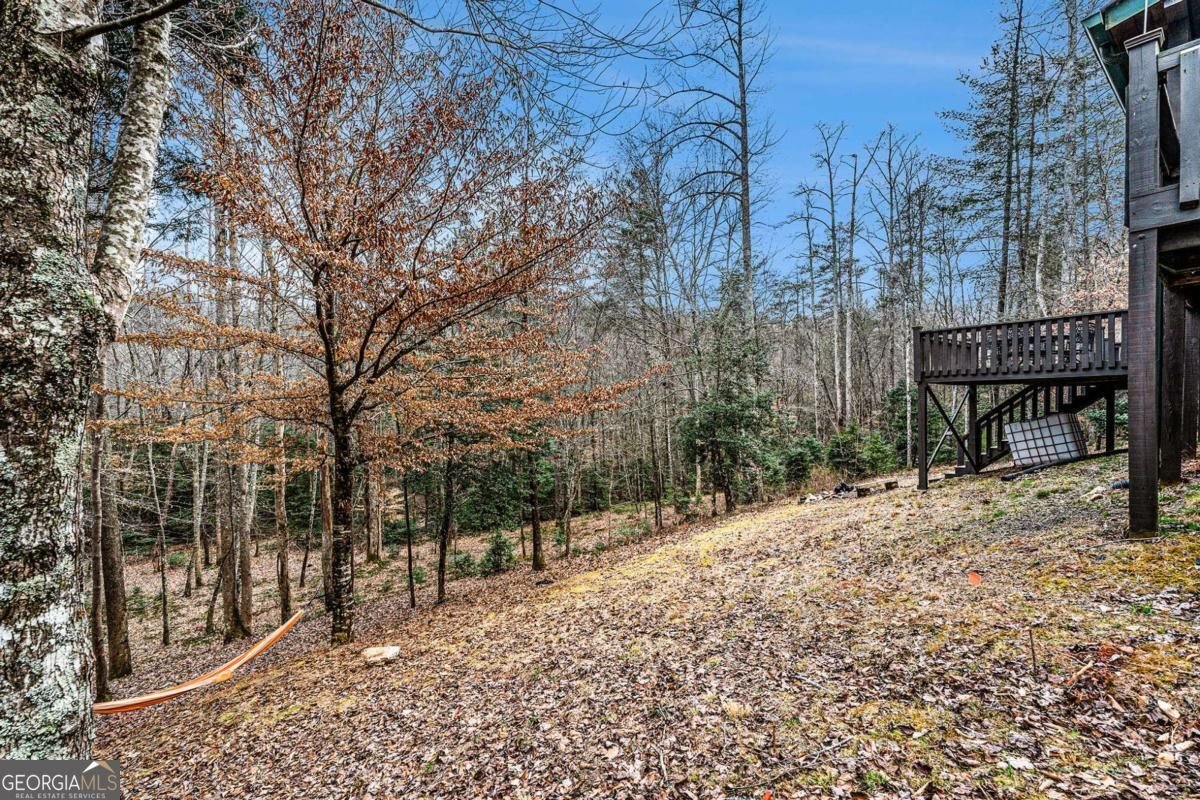 533 Mangums Trail Blue Ridge - 23